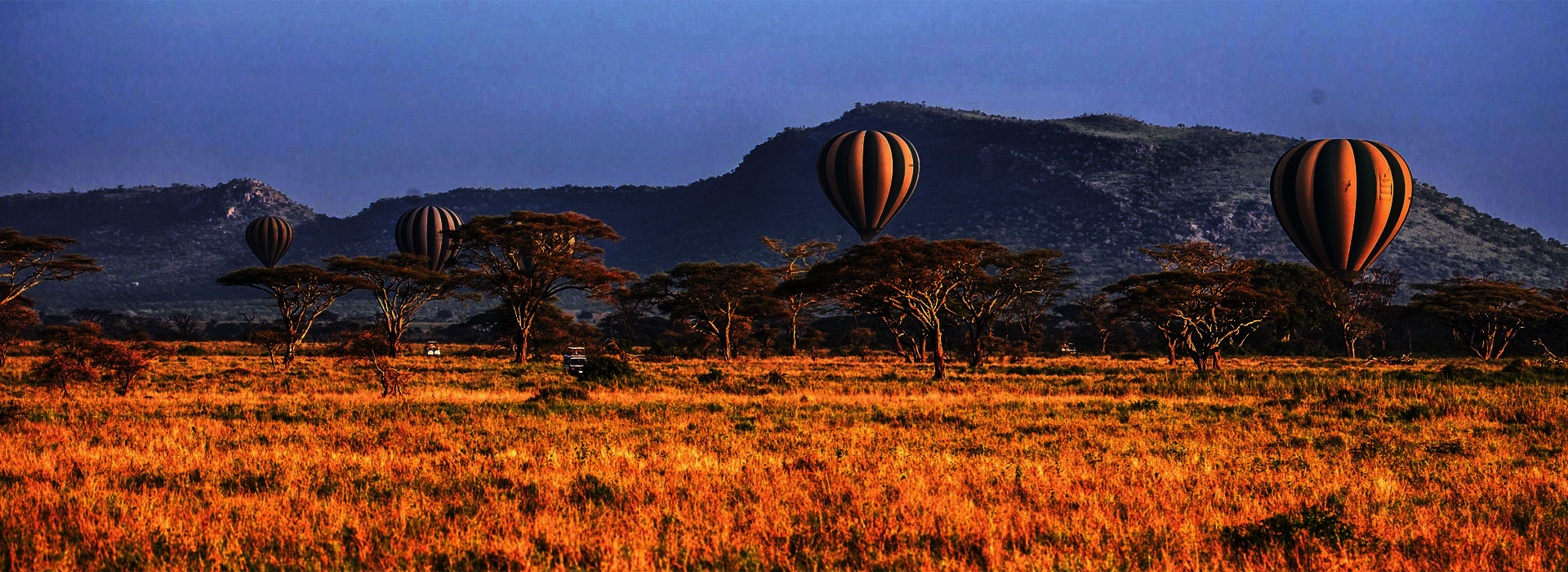 Best Time to Visit Tanzania Viola Tours